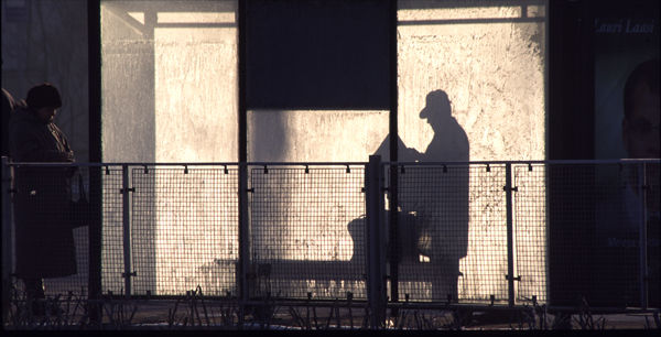 Bus Stop, first light.